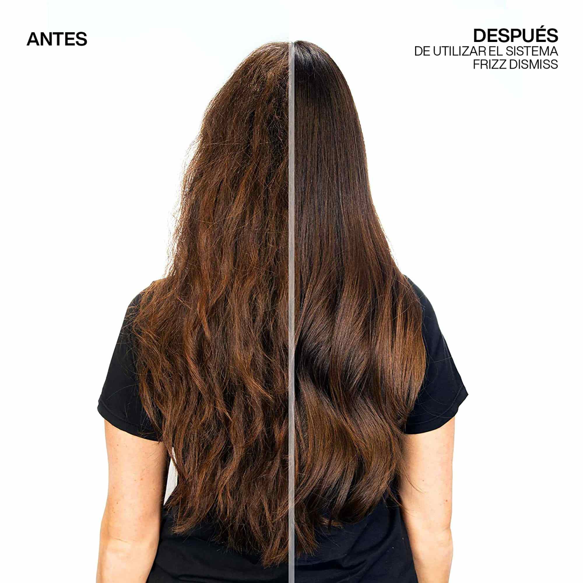 Shampoo Frizz Dismiss ByRedken