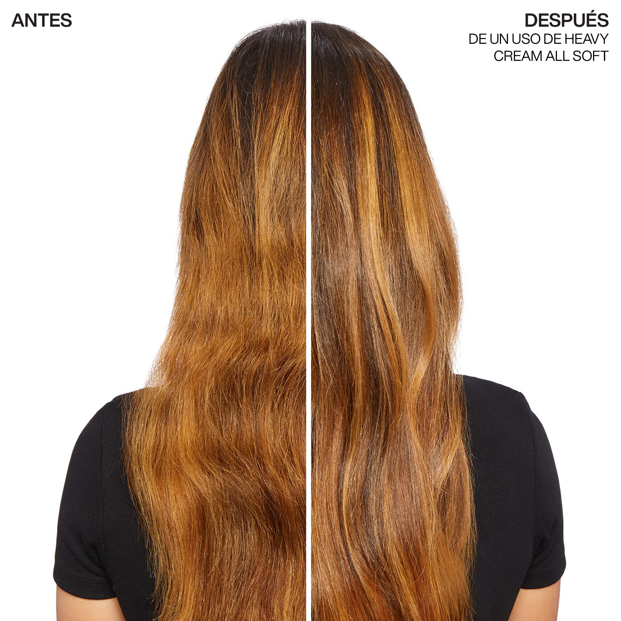 ALL SOFT ACEITE DE ARGÁN 111ML ByRedken